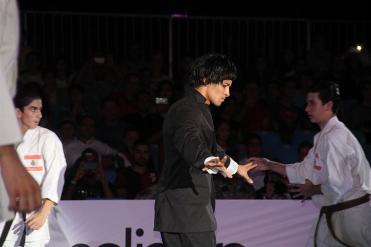 Martial Arts Festival